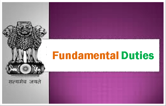 essay on fundamental duties of citizens