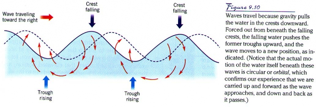 movements of ocean water motion of waves
