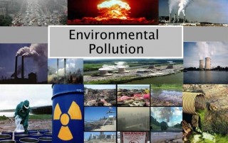 Environmental Pollution - Pollutants