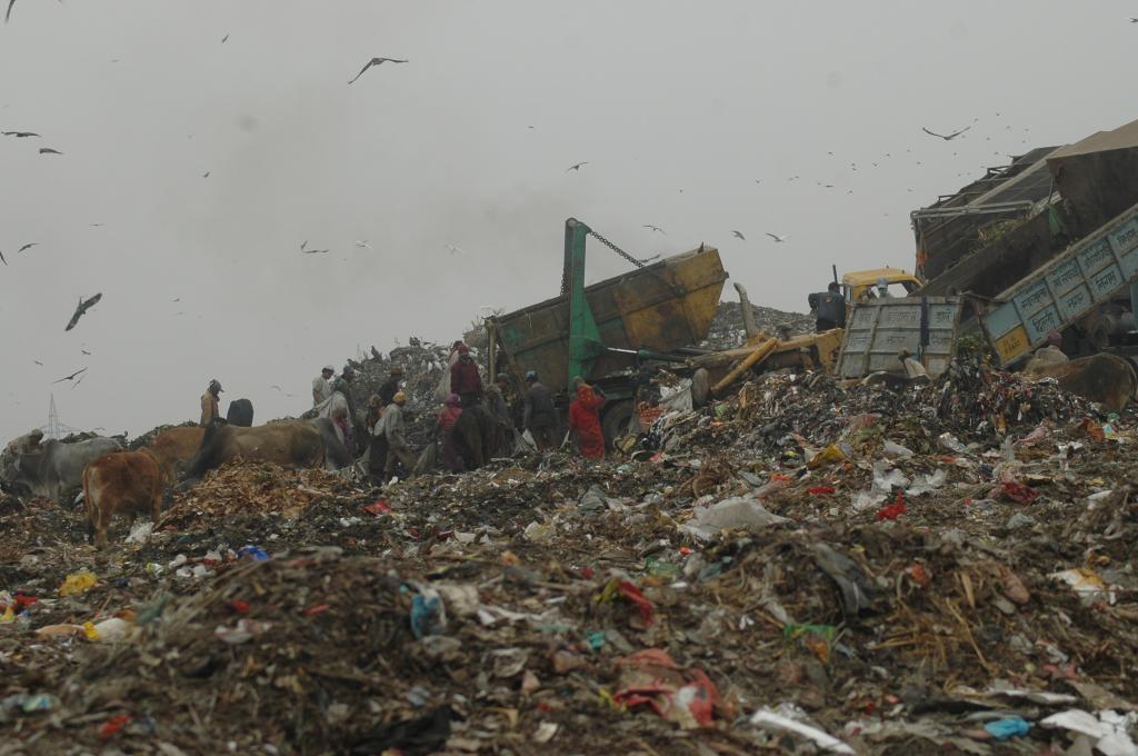 Waste Management Crisis in India - Challenges