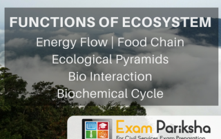 Functions of Ecosystem: Energy Flow, Food Chain, Trophic Level, Ecological Pyramids, Bio Interaction, Biochemical Cycle