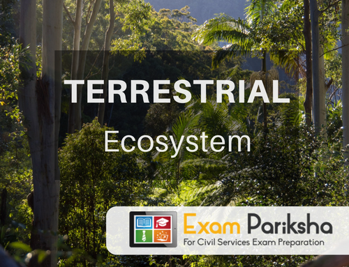 Terrestrial Ecosystem: Types of Forest, Deforestation, Grassland Ecosystem