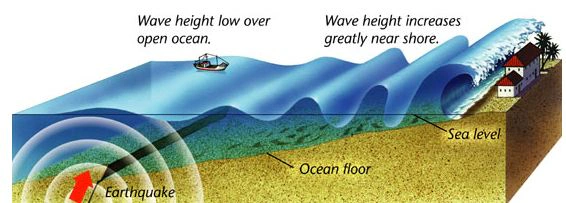 How Tsunami works