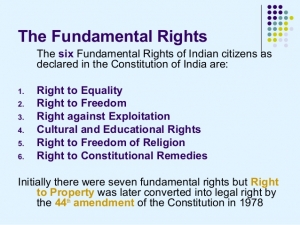 fundamental rights to cultural and educational rights