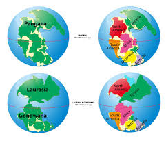 Continental Drift Theory - Geography Study Material & Notes