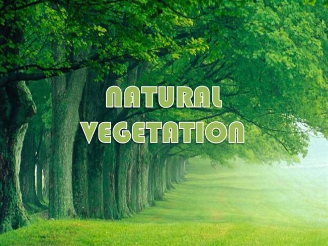 Natural Vegetation Geography Study Material Notes