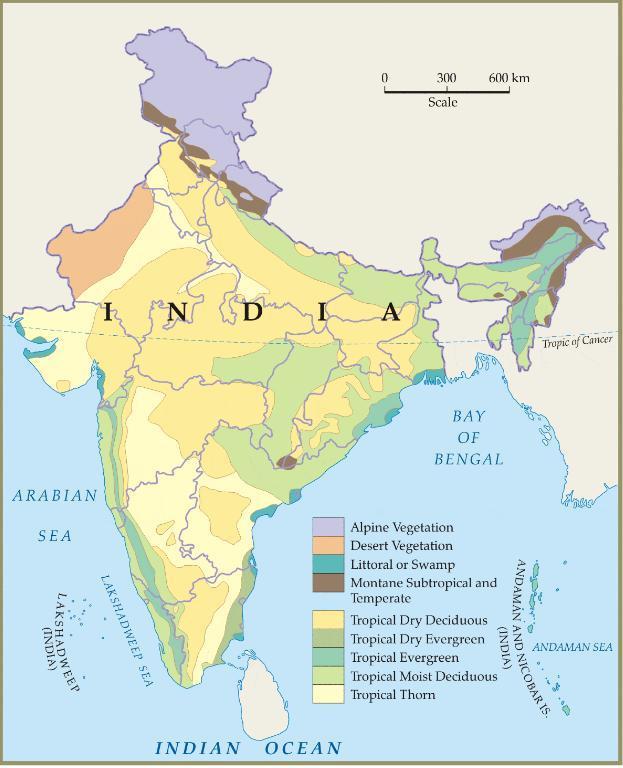 natural vegetation in India