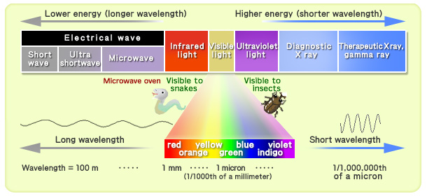 Solar Radiation - Geography Study Material & Notes