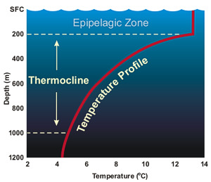 Water Resource in Oceans 