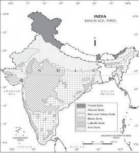 Types Of Soil In India - Geography Study Material & Notes