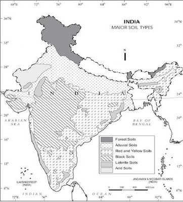 types of soil in india