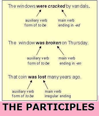 the participles