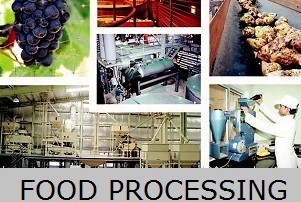 Food Processing Industry in India (1)