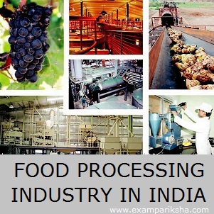 Food Processing Industry in India - Economics Study ...