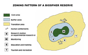 zoning pattern of biosphere reserve