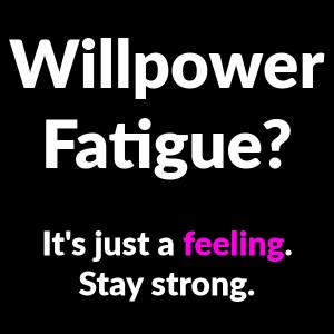 willpower fatigue