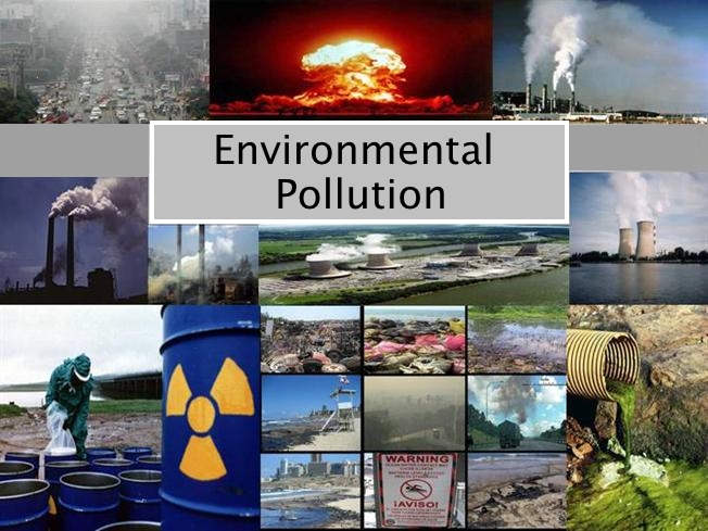 How Many Kinds Of Environmental Pollution